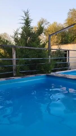 The video shows a close-up view of a bright blue swimming pool on a sunny day. The water is calm with gentle ripples on the surface, reflecting the sky and surrounding trees. In the background, a wooden fence with metal railings separates the pool area from a lush green garden and a building with a beige corrugated metal siding. Tall evergreen trees and deciduous trees with yellowing leaves frame the scene, suggesting it might be autumn. The lighting indicates it is either early morning or late afternoon. No people or animals are visible in the frame.