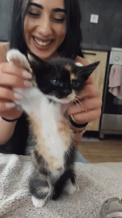 Woman with kittens, flag-lined streets captured in Smolyan