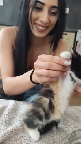 Woman with kittens, flag-lined streets captured in Smolyan