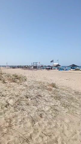 The video shows a wide sandy beach under a clear blue sky. In the foreground, dry, wispy beach grass grows out of the sand. Further back, rows of beach chairs and umbrellas are set up on the sand, some appearing to be unoccupied. A few people are visible scattered across the beach and near the water's edge. A person is walking away from the camera on a paved path that leads towards the ocean. Several small boats are pulled up onto the sand near the water. The ocean is calm and a light blue. The overall scene depicts a typical beach resort environment on a sunny day.