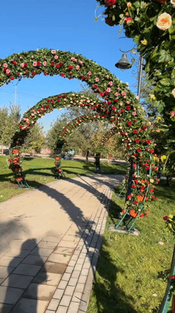 Flower-arched park path on a sunny day in Almaty