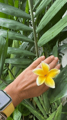 Person holds frangipani flower amid tropical plants in Kuta Selatan