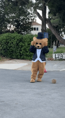 Formal-dressed teddy bear mascot spotted in Budva, Montenegro