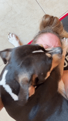 Dog Interrupts Morning Yoga Session in Tel Aviv