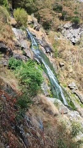 The video shows a cascading waterfall flowing down a rocky, vegetated mountainside. The water is clear and white as it tumbles over the rocks, which are covered in green moss and algae in some areas. The surrounding vegetation consists of dry grasses, shrubs, and scattered trees, some with autumn foliage. The scene is bathed in bright sunlight, suggesting it is daytime. The camera angle is angled upwards, focusing on the waterfall and the steep incline of the mountain. There are no people or animals visible in the video.