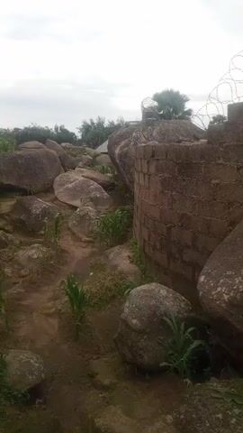 The video shows a curved brick wall with barbed wire along the top. Large boulders are positioned around the wall. Small green plants are growing in the dirt around the boulders and wall. The sky is overcast.