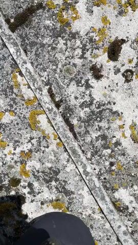 A first-person perspective video shows a person standing on a ledge overlooking a parking lot. The ledge is made of concrete with moss and lichen growing on it. In the parking lot, there are several cars and vans parked in designated spots. A green structure with clothes drying on racks is visible below the ledge. The video briefly pans across the scene before focusing on the parking lot. The person's feet and legs are visible at the bottom of the frame, indicating their position on the ledge. The lighting suggests it is daytime.