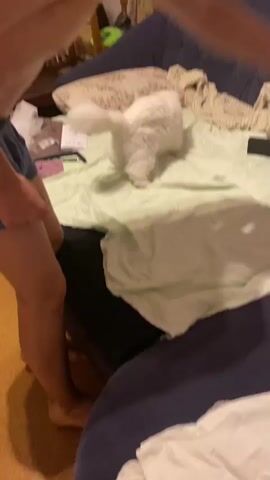 A person with bare feet and wearing dark blue shorts stands on the left side of the frame, leaning over a bed. The bed is covered with a light green sheet and other bedding. A fluffy white cat is on the bed, moving rapidly and erratically. The cat is shaking its head and body, appearing to be playful or agitated. The background shows a dark blue couch and a wooden chair. The lighting is dim, suggesting an indoor environment.
