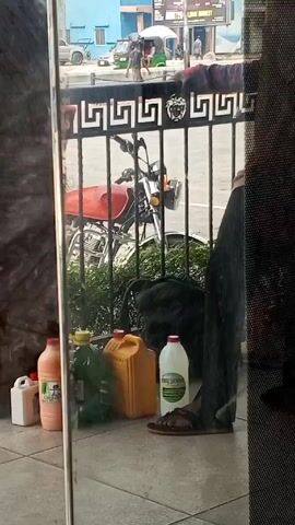 A still shot through a glass door or window shows a row of various containers sitting on the ground. A few appear to be for liquids.  Behind the containers are a black backpack, a portion of a person's legs and feet in sandals, and a metal railing. Behind the railing is a red motorcycle. The exterior scene visible beyond the motorcycle shows a street with other vehicles and a building in the background.