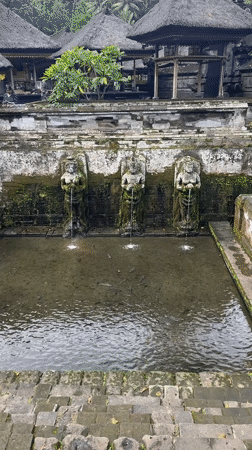 Sacred pools documented at Tirta Empul Temple, Bali