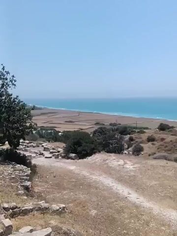 This media file captures a scenic view of the ancient Kourion archaeological site in Episkopi, Cyprus. The scene unfolds on a bright, sunny day, suggesting it is likely late morning or early afternoon. The weather appears clear and warm, with a vast expanse of blue sky overhead.

The landscape offers a striking contrast between ancient ruins and natural beauty. In the foreground, weathered stone blocks, remnants of historical structures, lie scattered across a dry, earthy terrain dotted with scrubby vegetation and a few trees. A prominent, large green tree stands to the left, providing a touch of lushness against the arid backdrop. A wooden pathway and railing system are visible, indicating the site is accessible for visitors. Further in the distance, the turquoise waters of the Mediterranean Sea stretch out to the horizon, meeting a sandy coastline. Beyond the immediate ruins, fields of crops are visible, adding to the rural character of the setting.

The media file also shows elements of the ancient theater. The impressive stone tiers of the amphitheater rise up, with some sections appearing more intact than others. Metal railings and informative plaques are positioned around the viewing areas, hinting at the site's preservation and presentation as a tourist destination. Two individuals are seen walking along a wooden bridge, suggesting that people are actively exploring the site. Another shot reveals more of the stone amphitheater's seating, with bright lights mounted on poles at the top, likely for evening performances. The overall atmosphere conveyed is one of historical exploration and appreciation of a beautiful Mediterranean landscape.