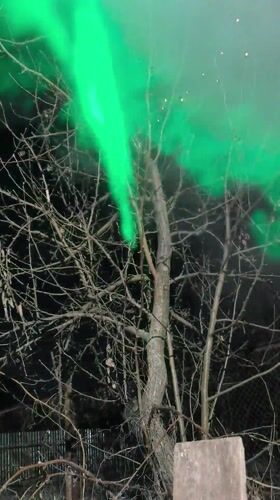 Green smoke and pet moments captured in Novyi, Russia