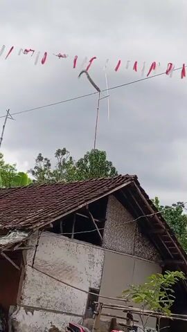 A snake is coiled around a television antenna atop a house. Red and white flags are strung across the sky above the house. The sky is overcast and cloudy. The house appears to be in disrepair, with a damaged roof and peeling paint. Trees are visible behind the house.