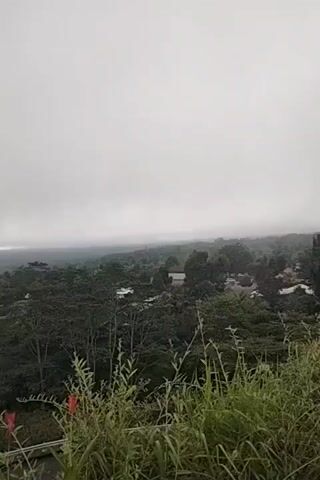 The video shows a landscape on a foggy day. The view is elevated, looking down on a lush, green area filled with trees and some buildings. A bridge with traffic is visible in the foreground. The sky is overcast and obscured by a thick layer of fog, which seems to blend into the horizon. Some flowers are visible in the bottom foreground. The camera remains static throughout the video.