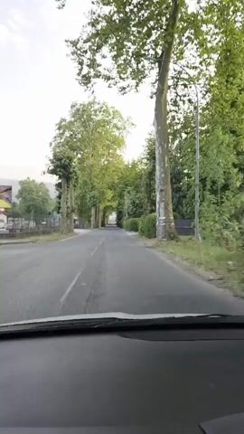The media file shows a first-person perspective of driving down a tree-lined road. The scene is set in a rural area with lush green trees forming a canopy overhead, creating a tunnel-like effect. The road is paved with a white line marking the center. On the left side of the road, there are some buildings and a fence, and on the right, a neatly trimmed hedge. The time of day appears to be late afternoon or early evening, given the soft, diffused light. The sky is partly cloudy. There is no visible text in the media file. The overall mood is peaceful and serene, evoking a sense of a leisurely drive through a scenic landscape. The trees are tall and mature, suggesting a well-established area. The location is implied to be Baztan, Spain.