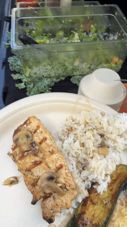 Outdoor buffet catering event documented in Los Angeles