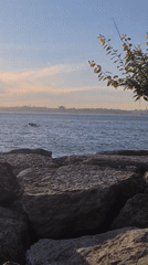 Afternoon scenes of daily life captured in Kadıköy waterfront