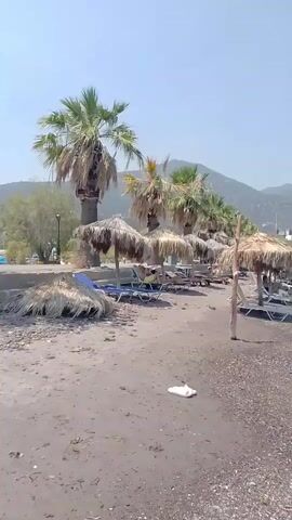 The video shows a beach with dark sand and pebbles. There are several thatched umbrellas and empty lounge chairs set up on the sand. Palm trees line the back of the beach, and in the distance, there are hills with some buildings visible. The sea is calm with small waves lapping at the shore. A single white flip-flop is visible on the sand in the foreground. A few people are lying on lounge chairs under some of the umbrellas. The sky is clear and blue, indicating a sunny day. The video pans slowly across the scene, offering a view of the beach, the sea, and the distant landscape.