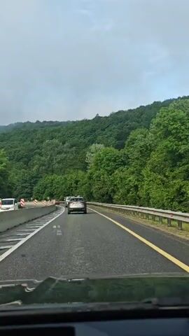 The video shows the view from inside a car driving on a highway. In front of the camera car, there's a white van and a dark-colored car. The highway is flanked by concrete barriers on one side and a metal guardrail on the other. There are red and white striped markers indicating a curve in the road. Lush green trees cover the hills in the background, and the sky is overcast and grey.