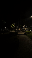 Evening scenes documented across illuminated Nha Trang Ward parks