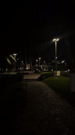 Evening scenes documented across illuminated Nha Trang Ward parks