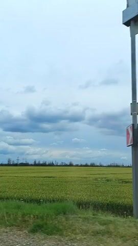 The video shows a view from a vehicle traveling alongside a vast, green agricultural field under a cloudy sky. The field appears to be crops, possibly wheat or barley, extending to the horizon. A line of trees, some bare, is visible along the far edge of the field. In the distance, there are some utility poles and wires. The foreground shows a rougher patch of grass and dirt, suggesting the edge of a road or path. The overall impression is one of rural landscape.