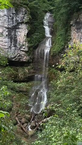 The video displays a tall, narrow waterfall cascading down a rocky cliff face surrounded by dense green foliage. The water is white and foamy as it plunges over several tiers, creating a curtain-like effect. At the base of the waterfall, fallen logs and debris are visible in the shallow water. The surrounding environment appears to be a lush, natural forest with trees and plants growing on and around the rocky cliffs. The lighting suggests it might be an overcast day, as there are no harsh shadows. The camera remains static throughout the short clip.