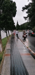 Rainy morning walk around Xuân Hương Lake, Đà Lạt