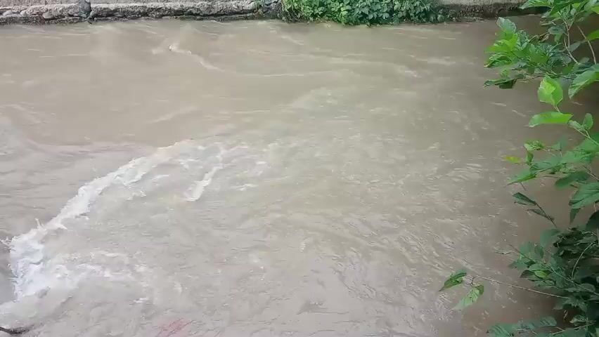 A video captures a wide, muddy river with turbulent, foamy water. The river flows from left to right across the frame. The banks of the river are lined with concrete on the left and lush green vegetation on the right. The water appears murky and carries sediment, indicative of a strong current or recent rainfall. The overall impression is of a natural environment experiencing a dynamic water flow.