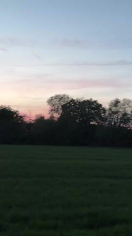 The video begins with a blurry shot of a sunset-tinted sky, trees, and a green field. The camera is moving, likely from a vehicle. It transitions to a man walking on a dirt path, away from the camera. He is wearing a black jacket and has a black shoulder bag. In the background, there is a green field, a house with a red roof, and a few trees. The sky is light blue with some pink hues. The lighting suggests it is dusk or early evening.
