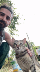 Street cats ruling the pavements of Kemer on a summer afternoon