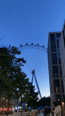 London Eye glows blue at dusk, witnessed from street level