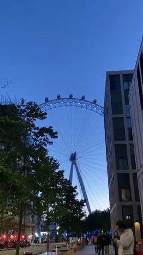 London Eye glows blue at dusk, witnessed from street level
