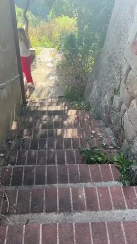 The camera pans up a flight of outdoor brick stairs lined with plants and flowers. To the left of the stairs is a building with a railing and an arbor. To the right of the stairs is a large stone wall. The stairs lead down into a valley filled with vegetation. Sunlight streams through the leaves of the trees above.