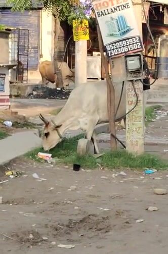 Gurgaon, India