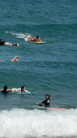 Morning beach activities captured across Tel Aviv coastline