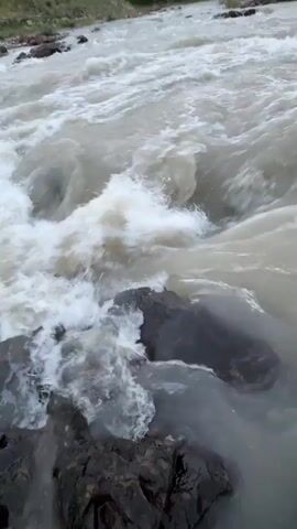This video showcases a wide, fast-flowing river with churning white water. The camera is positioned close to the water's surface, looking downstream. Rocks are visible both submerged and emerging from the turbulent water, particularly in the foreground, creating small rapids and eddies.

The river's water is a cloudy, grayish-brown, indicating it might be carrying sediment. The movement of the water is dynamic and powerful, with splashes and foam evident.

In the background, the scene transitions to a more serene landscape. Lush green trees line the riverbanks, and rolling hills can be seen in the distance. The sky above is a soft pastel, with hints of pink and orange, suggesting either dawn or dusk. The overall atmosphere is one of natural power and tranquility.

There is no visible text in the media file. The location context is Каменномостский, Russia. The time of day appears to be either early morning or late evening, given the soft sky colors. The weather seems calm, with the focus being on the river's activity. The scene evokes a sense of untouched nature and the raw energy of the water.