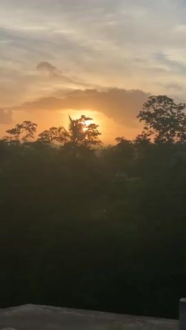 The video captures a sunrise over a dense forest canopy. The sun, a bright orb, is partially obscured by clouds and silhouetted trees, casting a warm, golden-orange glow across the sky. Rays of light pierce through the mist and foliage, creating a hazy, ethereal atmosphere. The foreground shows a concrete ledge or rooftop, hinting at an elevated viewpoint. The overall scene is serene and natural, emphasizing the beauty of the dawn.