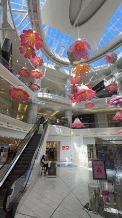 Colorful floral art installations documented at Burnaby shopping mall