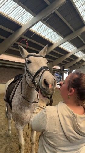 Woman and horse share moment in Belgian riding arena