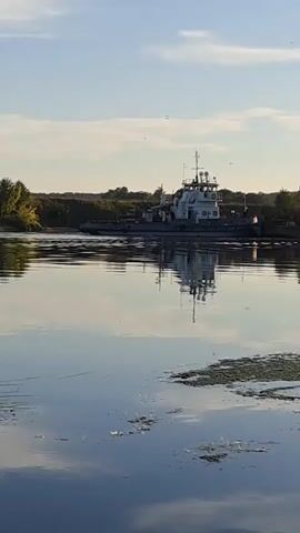 The video shows a serene river landscape. The camera is positioned low, close to the water's surface, providing a unique perspective. Ripples on the water suggest a gentle movement. The far bank is lined with trees, some lush green and others with autumnal yellow hues, creating a picturesque backdrop. The sky above is a pale blue with scattered white clouds. The light suggests it is either early morning or late afternoon, casting a soft glow on the scene. There are no people or animals visible. The environment is natural and tranquil.