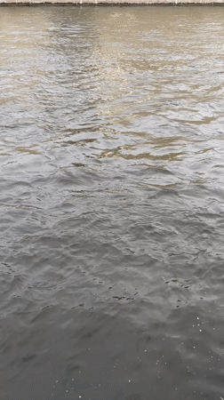 Tour boat and stone embankments along a Saint Petersburg river
