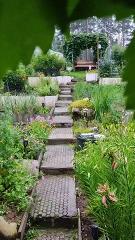 The video shows a garden path made of interlocking pavers, ascending a slight incline. The path is flanked by raised garden beds filled with lush green plants and colorful flowers, including pink and orange blossoms. Small solar-powered lights are visible along the path. In the background, a wooden bench is situated beneath a natural archway formed by overgrown vines. Beyond the garden, a forest with tall pine trees is visible, shrouded in a light mist. The overall scene depicts a serene and well-maintained outdoor space during the daytime, possibly after a rainfall, given the slightly damp appearance of the foliage.