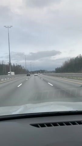 The video shows a first-person perspective from inside a car driving on a multi-lane highway. The road is asphalt with white lane markings and a yellow line separating traffic directions. Guardrails line both sides of the highway. Tall, bare trees, characteristic of a forest, flank the road in the distance. Several other cars are visible on the highway ahead, some moving in the same direction and some potentially in the opposite direction on the other side of the median. The sky is heavily overcast with grey clouds, indicating a cloudy day. Streetlights on tall poles are spaced along the highway. A small portion of the car's dashboard is visible at the bottom of the frame. The overall scene depicts a typical highway journey under a muted sky.