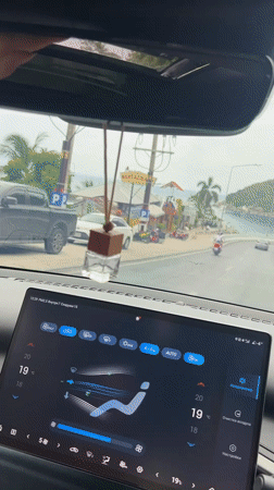 Couple captures cheerful car selfies in Thailand morning