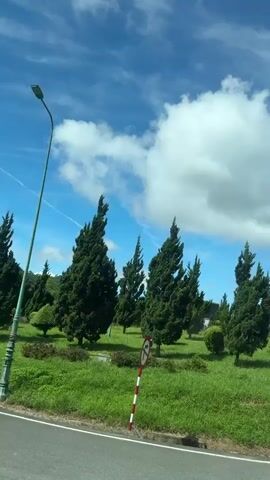 The video begins with a view of tall, green cypress trees lining a grassy area. A blue sky with scattered white clouds is visible above. The camera pans to the right, revealing a utility pole and then a large billboard with text and images on it. Further to the right, more greenery and a small hill are visible. The video then transitions to an underside view of a concrete structure, possibly a bridge or overpass. The concrete surfaces are stained and show signs of graffiti. The camera moves to show the space between the concrete beams of the structure.