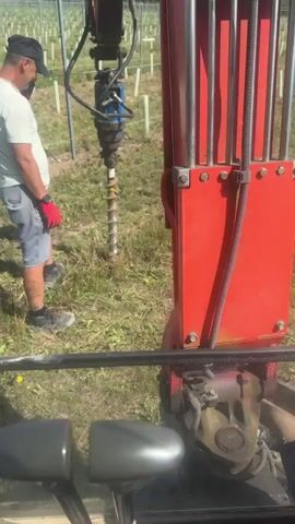This video captures a man operating a post hole digger attached to a small excavator or tractor. The man, wearing a black baseball cap, a light-colored t-shirt, grey shorts, red gloves, and grey athletic shoes, is standing to the left of the machinery. He appears focused on the task, his right hand on the controls of the auger.

The scene is an outdoor setting, likely a field or vineyard, indicated by the rows of young trees or vines with protective coverings in the background, stretching towards a treeline. The ground is covered in dry grass and some scattered yellow wildflowers. The weather appears to be sunny and clear, suggesting it is daytime.

The post hole digger, with its prominent spiral auger, is actively engaged in drilling into the earth. The excavator arm is a vibrant red, contrasting with the natural green and brown tones of the environment. The perspective is from inside the operator's cab, with parts of the cab's interior, including what appear to be seat rests or armrests, visible in the foreground.

There is no visible text within the media file. The overall impression is one of agricultural work or land preparation. The man's posture and concentration suggest a methodical and deliberate operation. The presence of the young plants in neat rows points towards a vineyard or orchard being established.