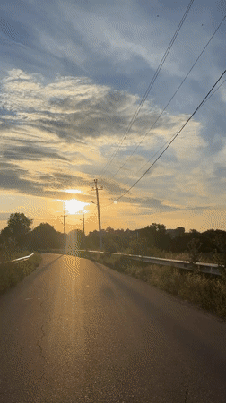 Sunset roads and Yorkshire Terriers on the couch