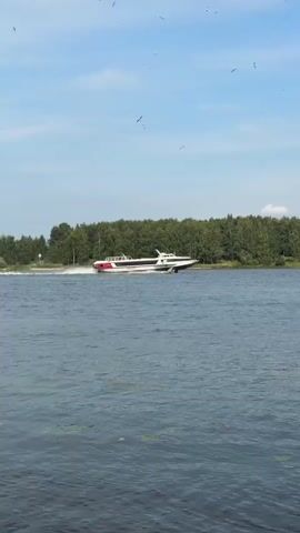 A white and red hydrofoil boat travels across a body of water. The boat is long and sleek with a white upper deck and a red lower hull. It is creating a spray of water behind it as it moves. The water is calm with some ripples. The background consists of a dense line of green trees on the horizon under a light blue sky with a few scattered white clouds and birds.