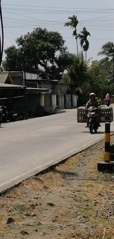 The video shows a road with several motorcycles. The first motorcycle visible has a person riding it and two woven baskets attached to the back. The second motorcycle is further down the road with a person riding it. The third motorcycle is even further down the road, also with a rider. The road is paved and has a dirt shoulder on the right side. There are trees and buildings visible on the left side of the road. A yellow and black pole is on the right side of the road. The sky is clear and the sun appears to be shining.